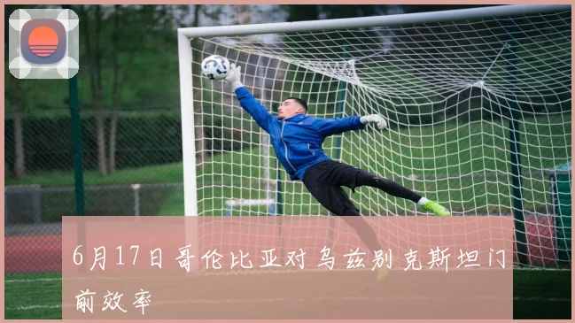 6月17日哥伦比亚对乌兹别克斯坦门前效率