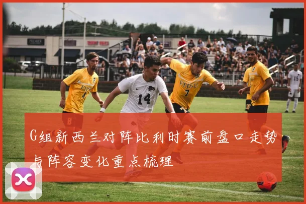 G组新西兰对阵比利时赛前盘口走势与阵容变化重点梳理