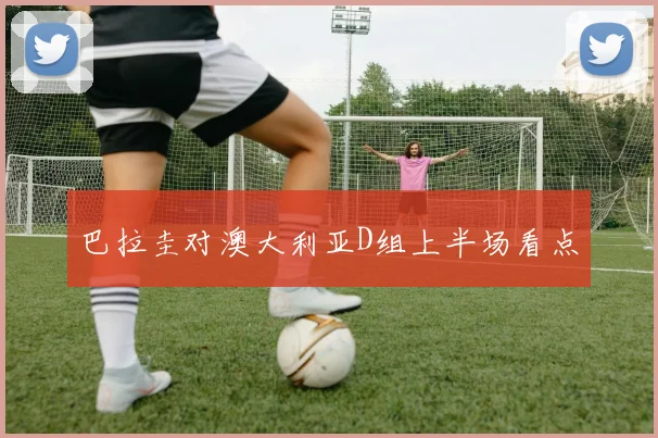 巴拉圭对澳大利亚D组上半场看点