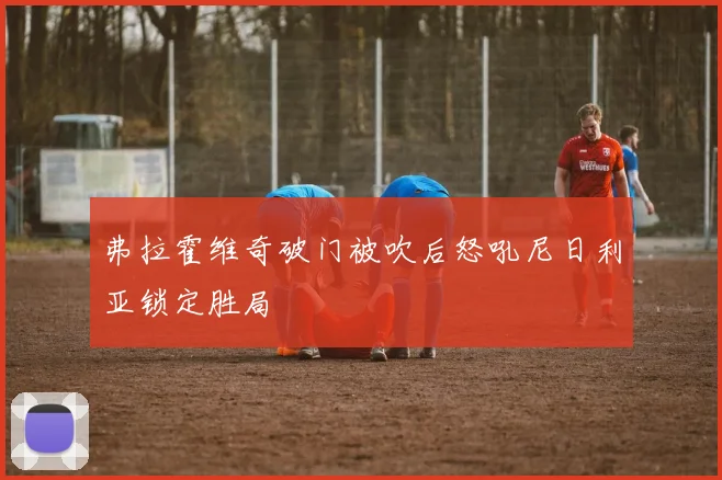 弗拉霍维奇破门被吹后怒吼尼日利亚锁定胜局