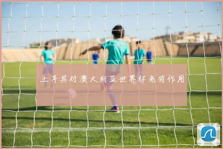 土耳其对澳大利亚世界杯老将作用