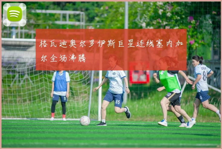 格瓦迪奥尔罗伊斯巨星连线塞内加尔全场沸腾